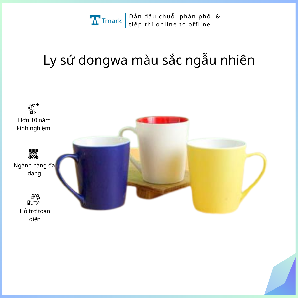 Ly sứ dongwa màu sắc ngẫu nhiên (kiện 72 cái)