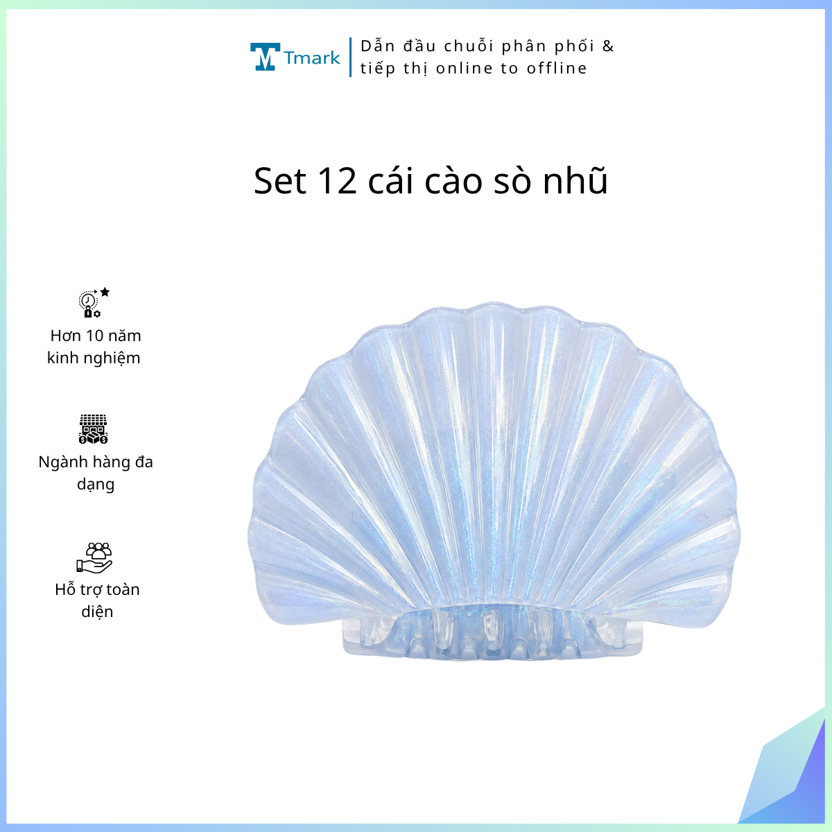Set 12 cái cào sò nhũ (kiện 100)