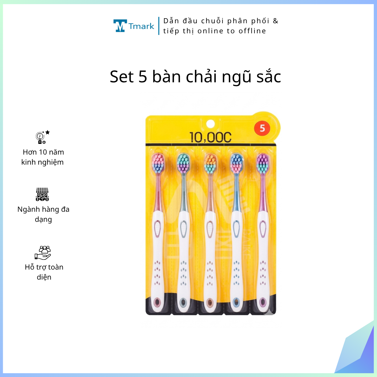 Set 5 bàn chải ngũ sắc (Kiện 100 set)