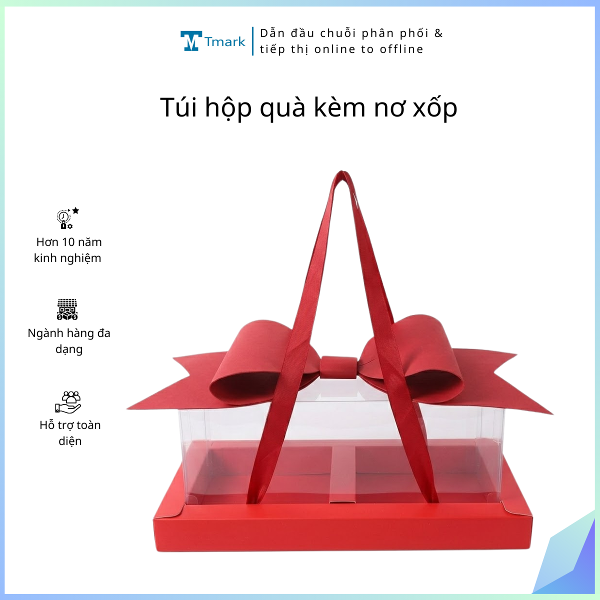 Túi hộp quà kèm nơ xốp (Kiện 50 cái)