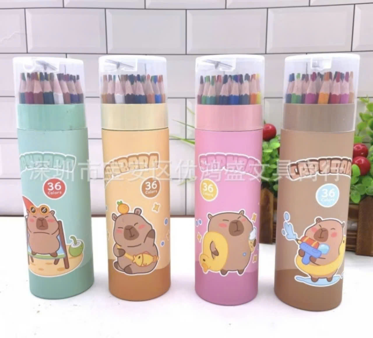 VPP - bút chì màu Capybara 36 màu (kiện 96 hộp) - hộp 36 cái 2