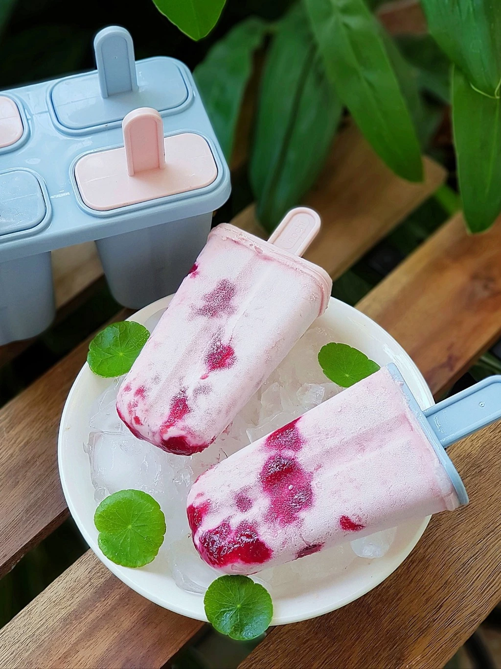 Khuon-lam-kem-Kari-Inochi-chat-lieu-nhua-an-toan-Tmark-Kien-120-cai-_Khuôn làm kem Kari Inochi  chất liệu nhựa an toàn Tmark_files.webp