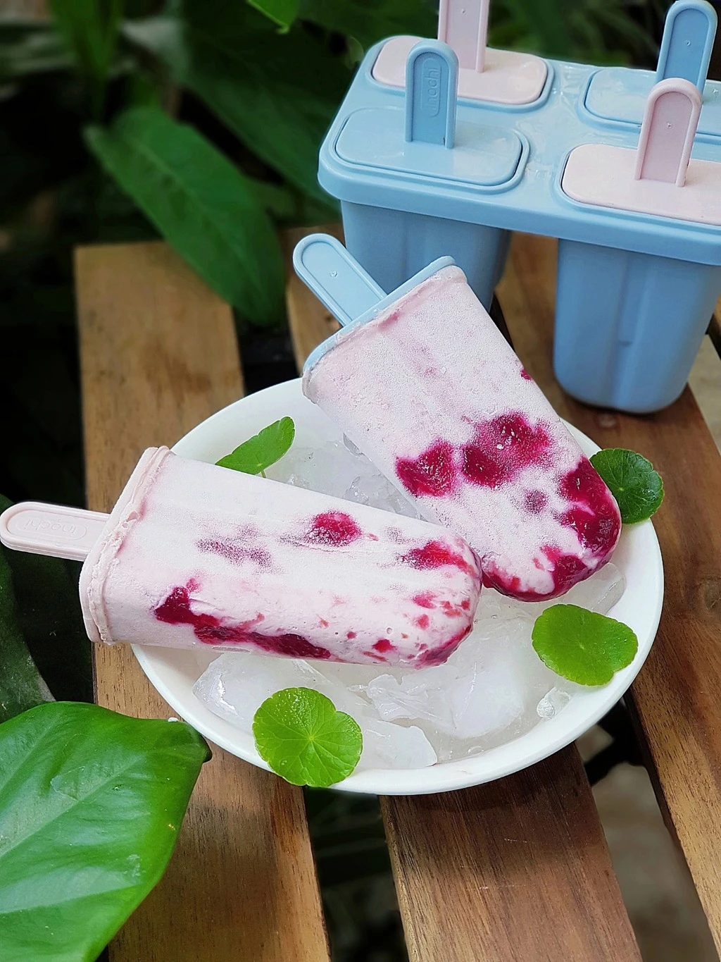 Khuon-lam-kem-Kari-Inochi-chat-lieu-nhua-an-toan-Tmark-Kien-120-cai-_Khuôn làm kem Kari Inochi  chất liệu nhựa an toàn Tmark_files3.webp