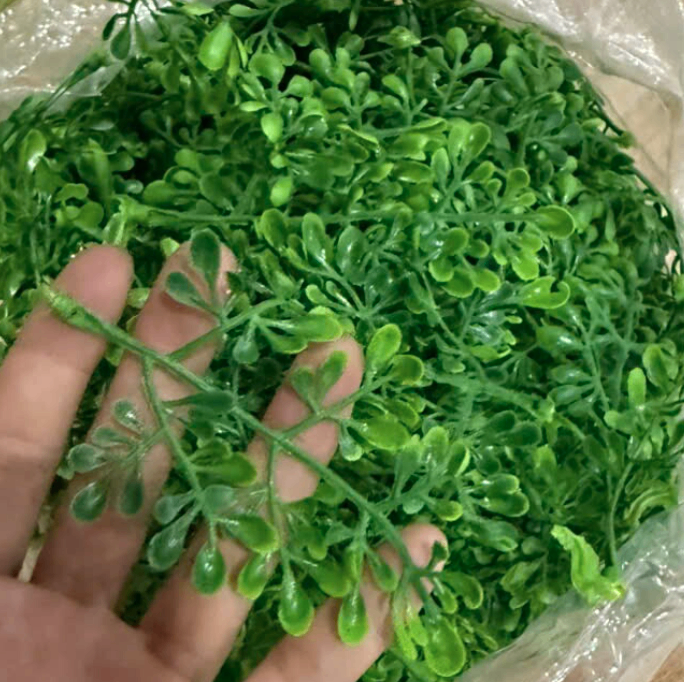 Túi 100g_Lá Me Tròn