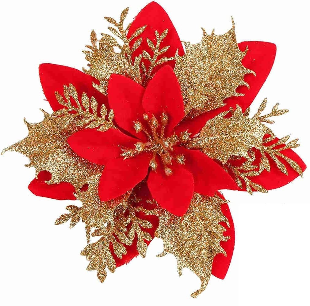 Hoa Trạng Nguyên_Đỏ vàng 16Cm