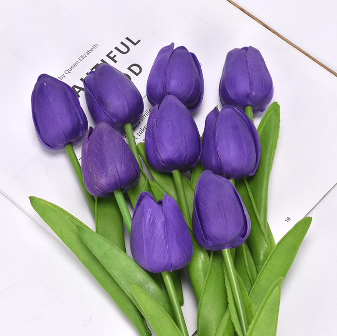Hoa Tulip_Tím