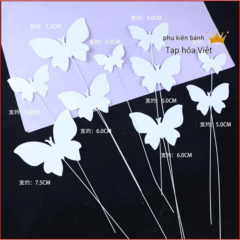 Vỉ Bướm Giấy_Bướm Trắng