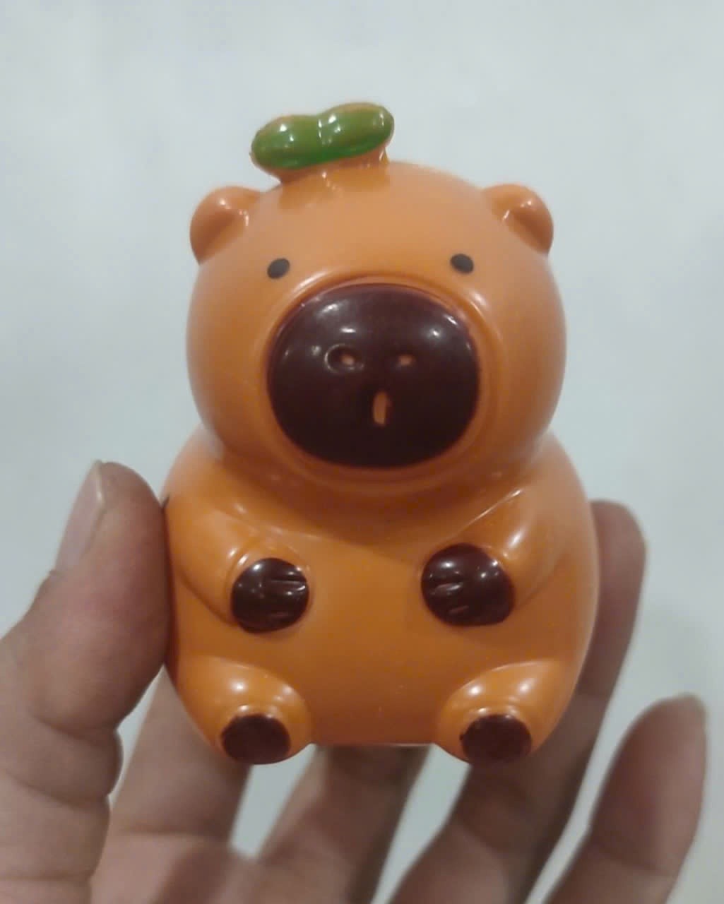 [1 con] Chuột Capybara_Không Đèn