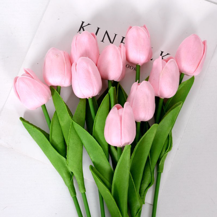 Hoa Tulip_Hồng Nhạt