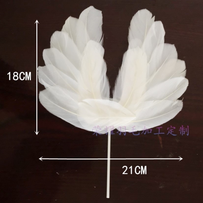 1 Cánh Lông Vũ_Cánh Trắng