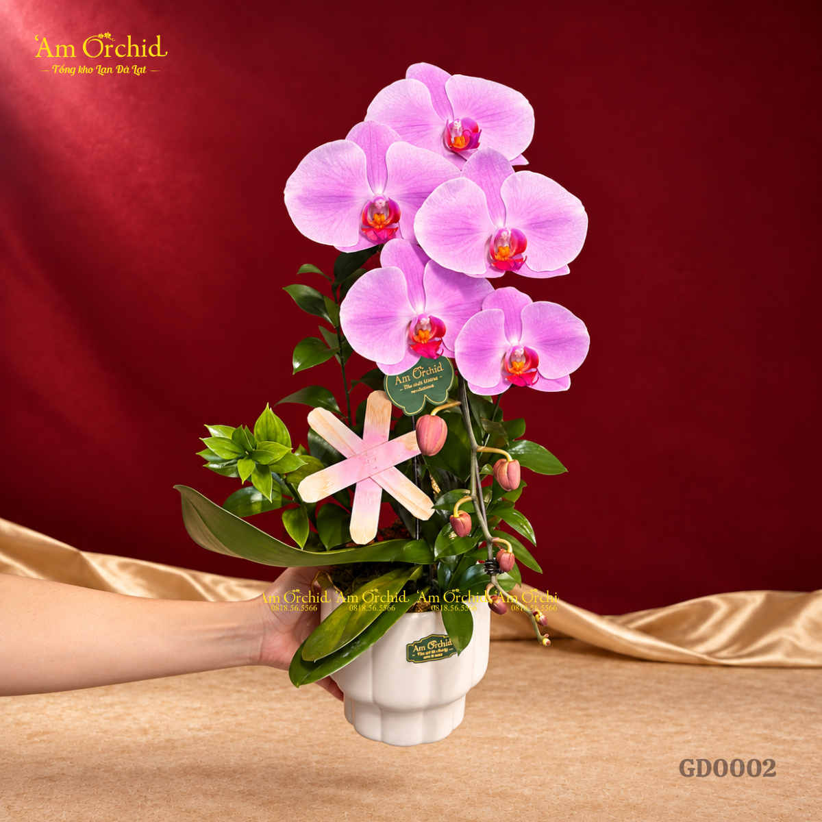 -Am-Orchid-RA-MAT-BO-SUU-TAP-HOA-LAN-THANG-10-GUI-NGUOI-TRAN-QUY-33.png