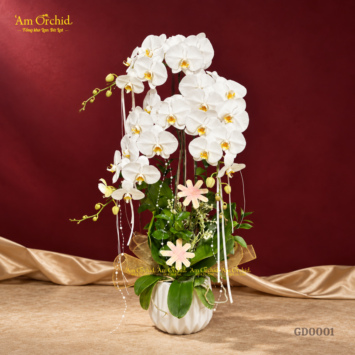 -Am-Orchid-RA-MAT-BO-SUU-TAP-HOA-LAN-THANG-10-GUI-NGUOI-TRAN-QUY-36.png