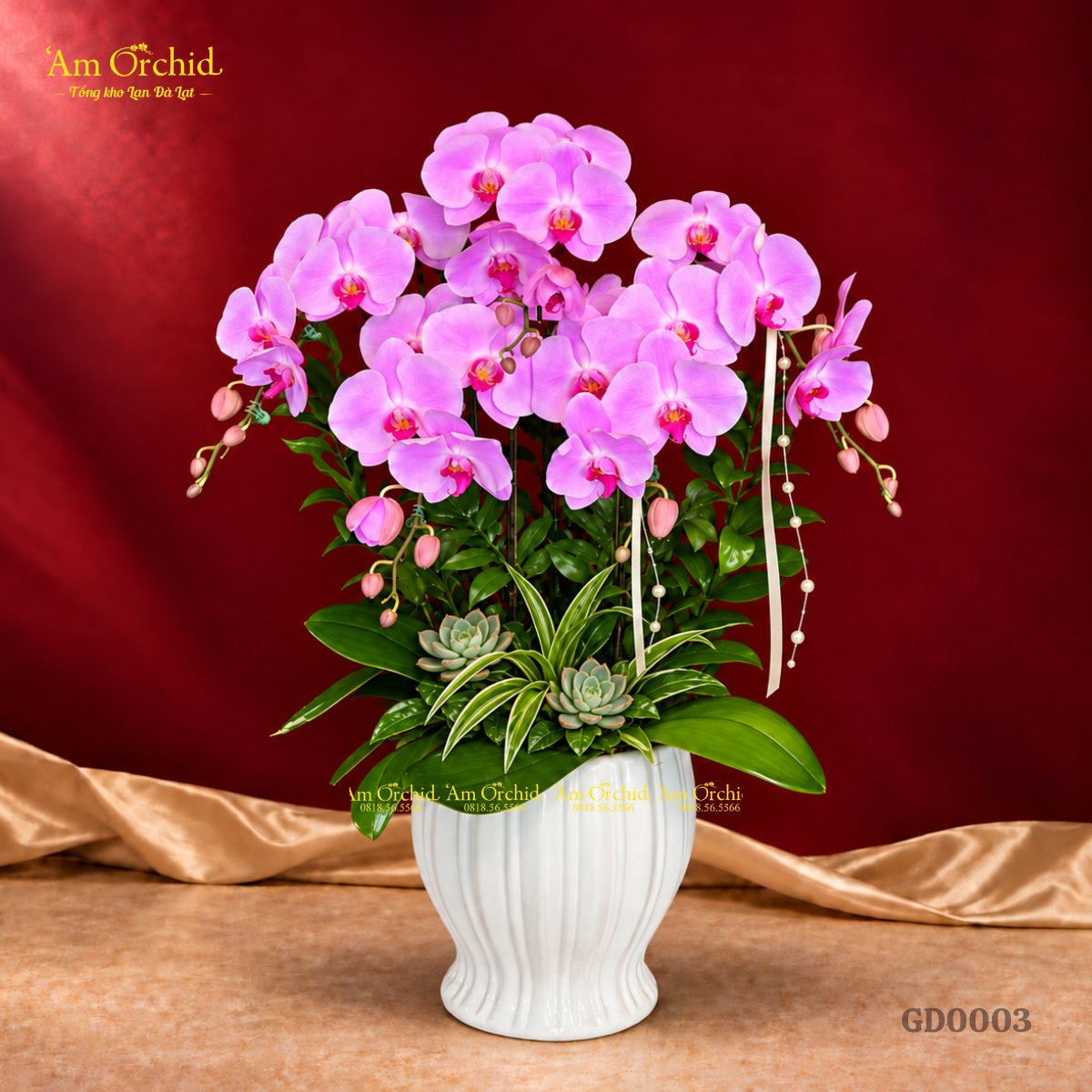 -Am-Orchid-RA-MAT-BO-SUU-TAP-HOA-LAN-THANG-10-GUI-NGUOI-TRAN-QUY-39.png