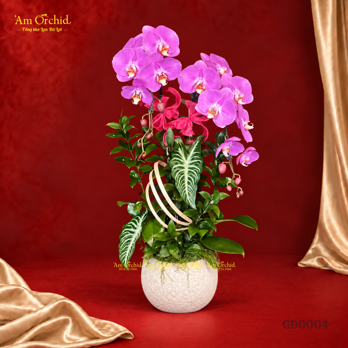 -Am-Orchid-RA-MAT-BO-SUU-TAP-HOA-LAN-THANG-10-GUI-NGUOI-TRAN-QUY-40.png