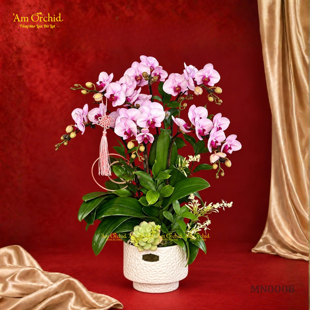 -Am-Orchid-RA-MAT-BO-SUU-TAP-HOA-LAN-THANG-10-GUI-NGUOI-TRAN-QUY-42.png