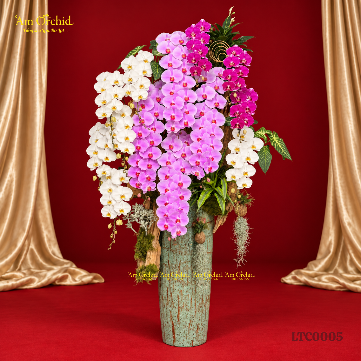 -Am-Orchid-RA-MAT-BO-SUU-TAP-HOA-LAN-THANG-10-GUI-NGUOI-TRAN-QUY-44.png