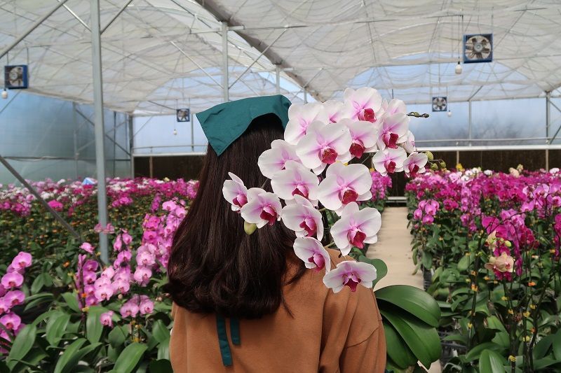 BÌNH YÊN NHỮNG PHÚT GIÂY THƯỞNG LÃM LAN TẠI THIÊN ĐƯỜNG  ‘AM ORCHID