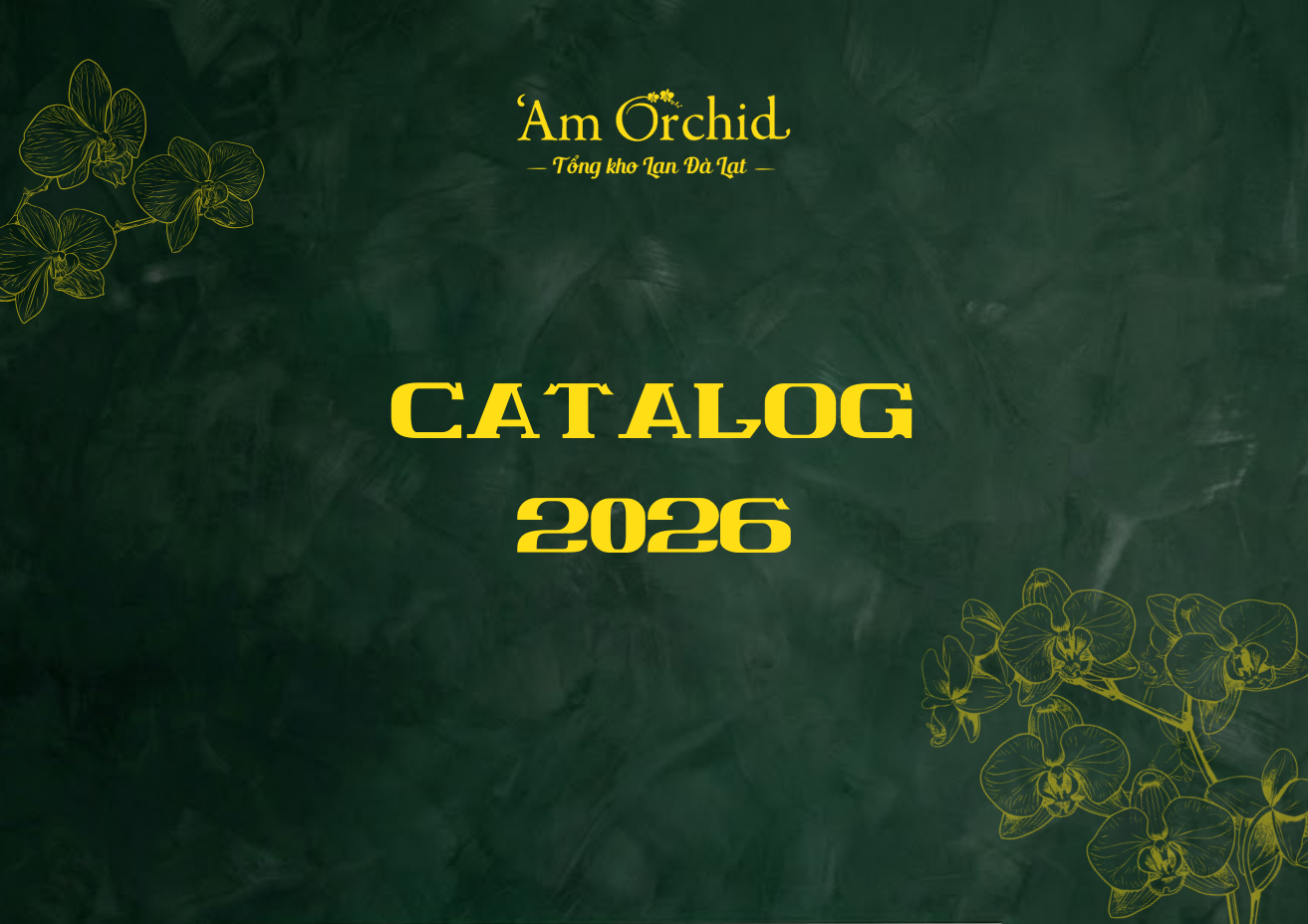20260123_VbZKpNF6.png