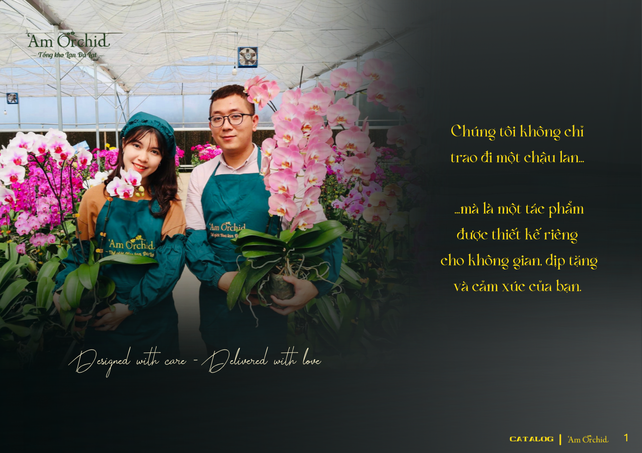 20260123_v127NJZS.png