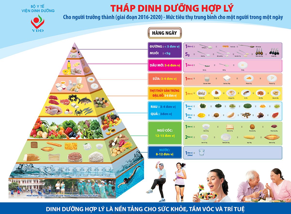 Tháp Dinh dưỡng hợp lý cho người trưởng thành (giai đoạn 2016 - 2020) - Mức tiêu thụ trung bình cho một người trong một ngày