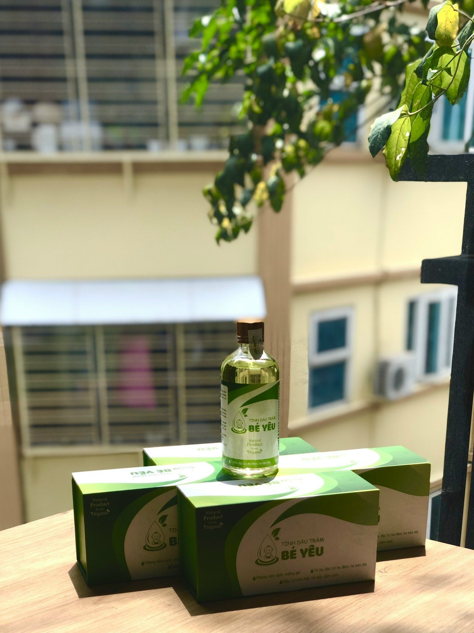 Tinh dầu tràm