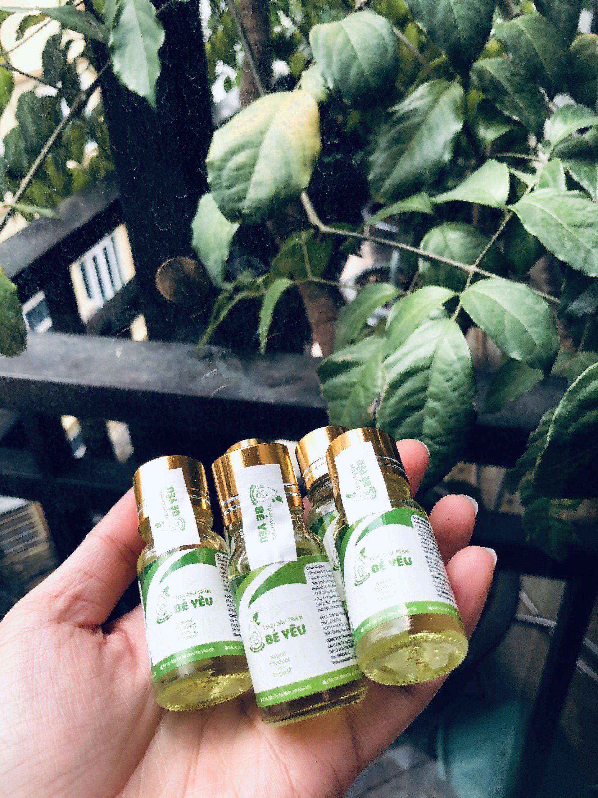 Tinh dầu tràm