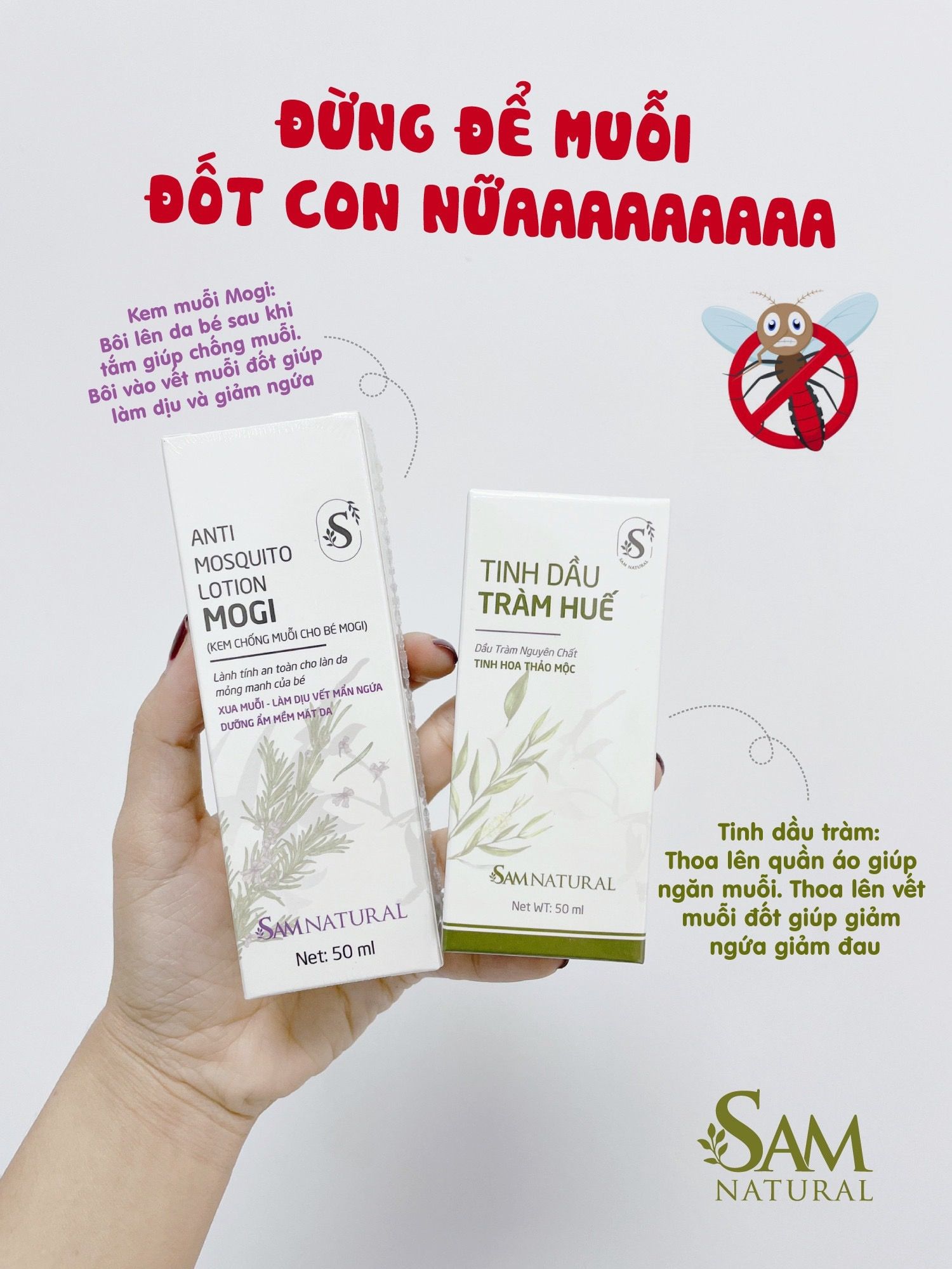 Sam Natural-Tinh dầu tràm Huế 50ml