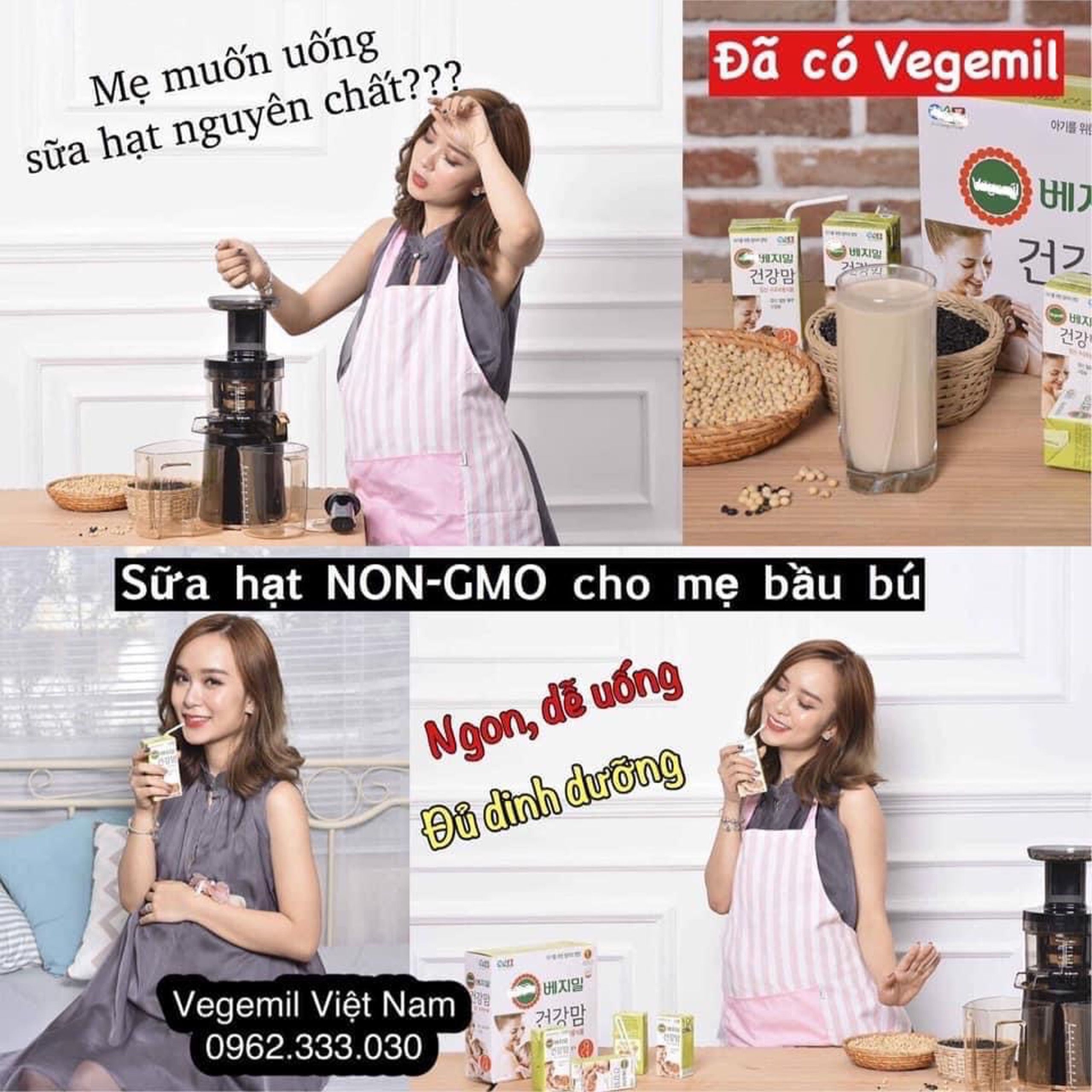 Sữa hạt bầu bú Vegemil 16hx190ml