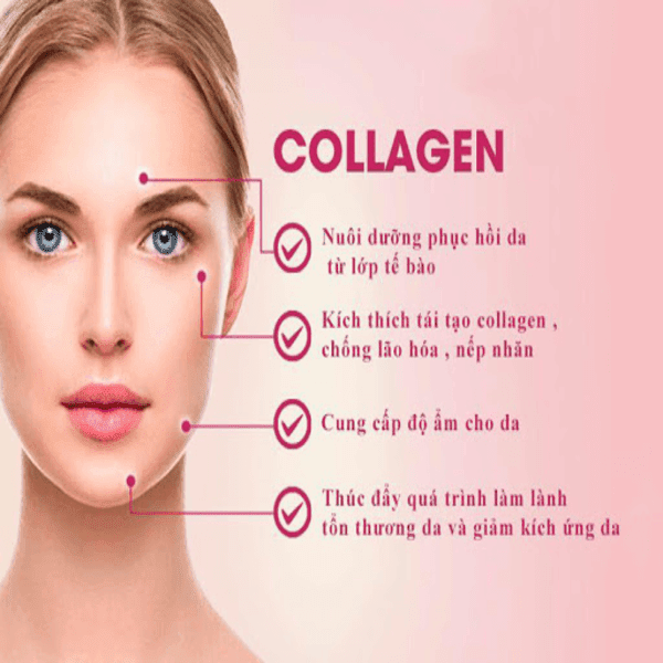 Uống Collagen của Herbalife có tốt không? Tìm hiểu chi tiết