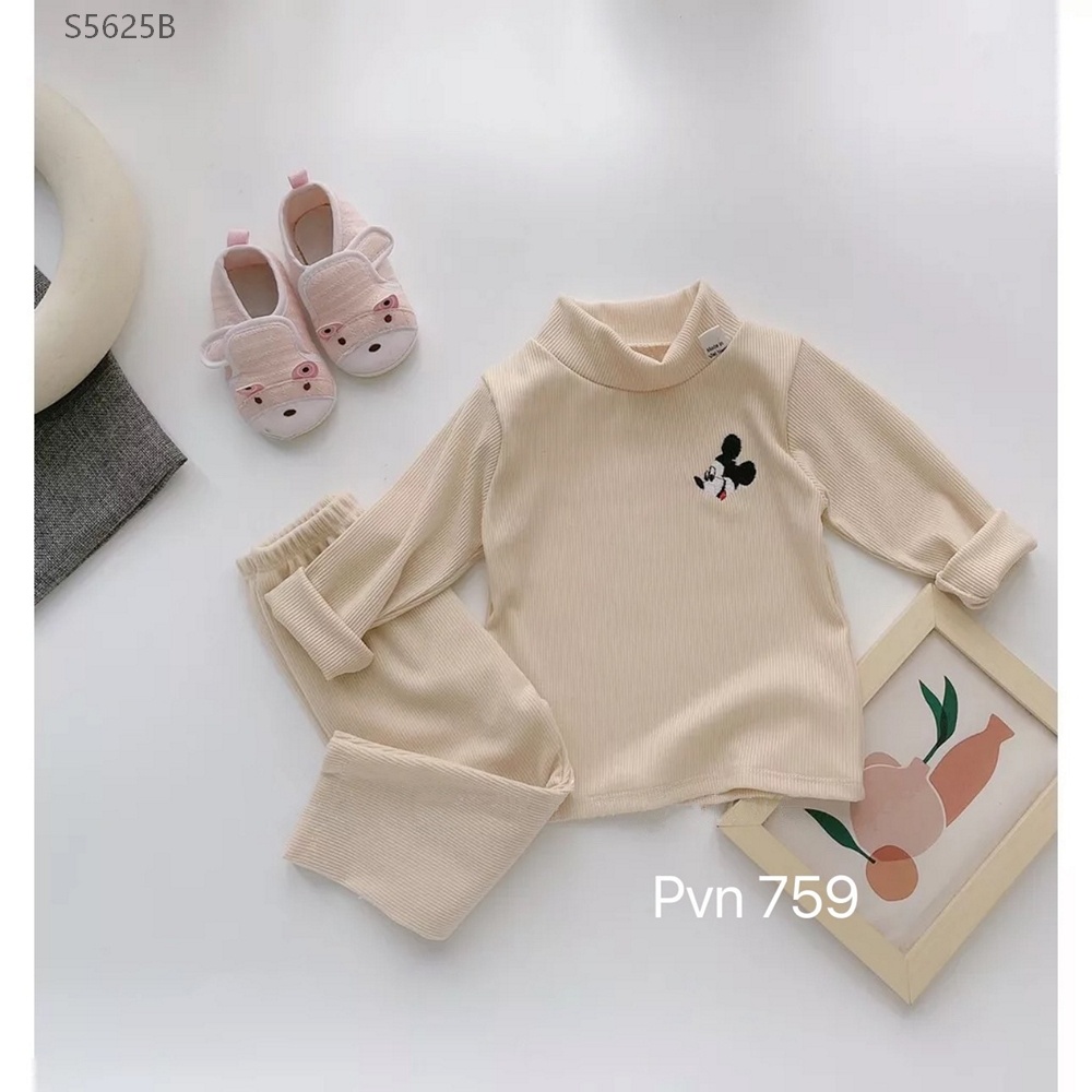 S5625- Set Thun Tăm Mickey