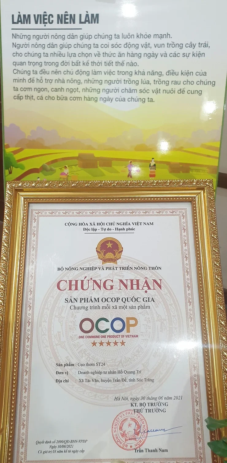 Gạo Ông Cua ST24 đạt chứng nhận OCOP 5 sao cấp quốc gia. 
