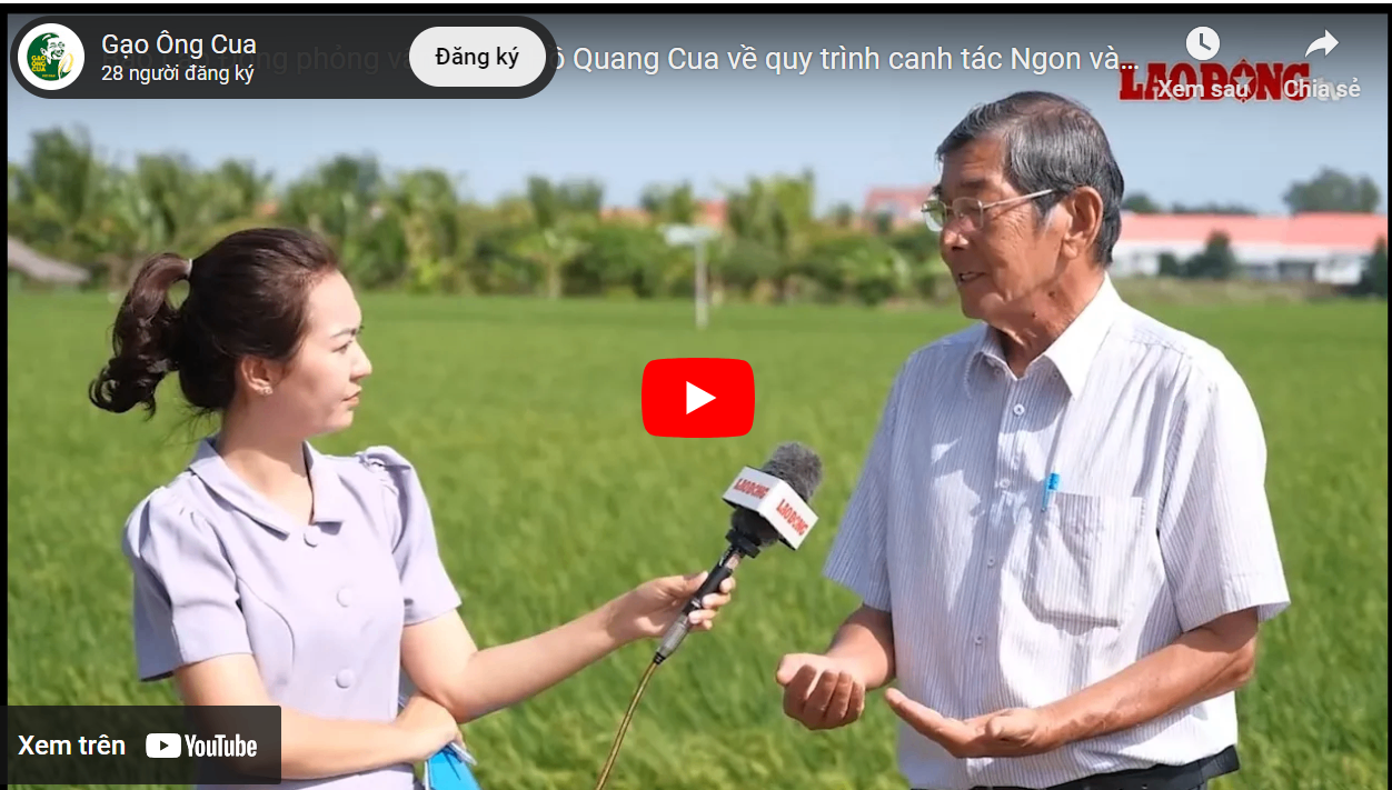 Tìm hiểu quy trình canh tác Ngon và Lành của Gạo Ông Cua ST25 