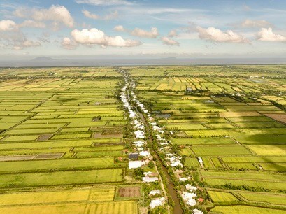 Tham quan trại nghiên cứu giống lúa ST24 và ST25 