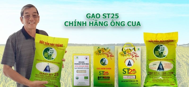 Gạo St25 là gì? Gạo Ông Cua là gì ? Trên thị trường hiện nay có bao nhiêu loại St25 
