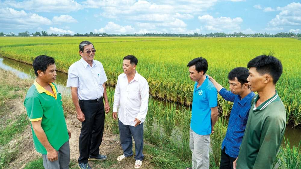 Kỹ sư Hồ Quang Cua: Cơm ngon thượng hạng và túi tiền nông dân