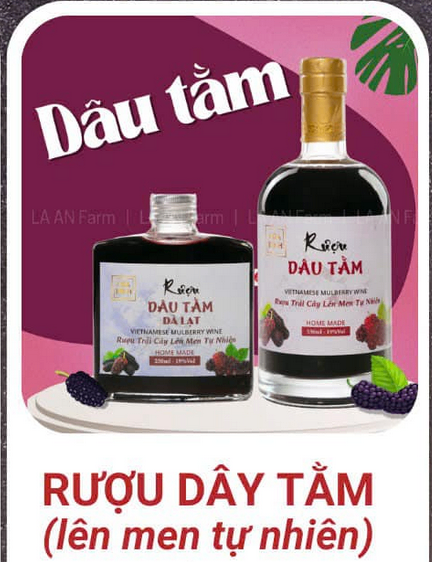 rượu dâu tằm.png