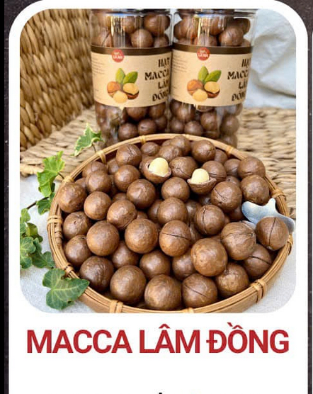 macca lâm đồng.png