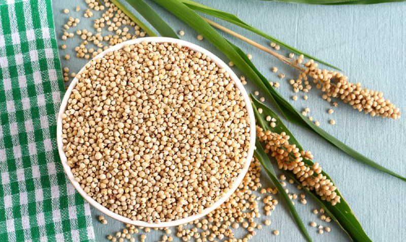 Các loại ngũ cốc tốt cho sức khỏe: Những điều cần biết