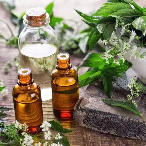 Không phải sữa, những thực phẩm này còn giàu Canxi hơn!