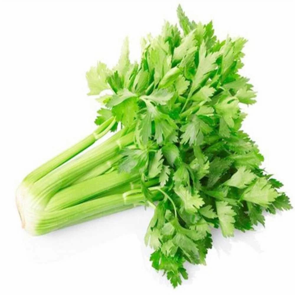 Cần tây hữu cơ