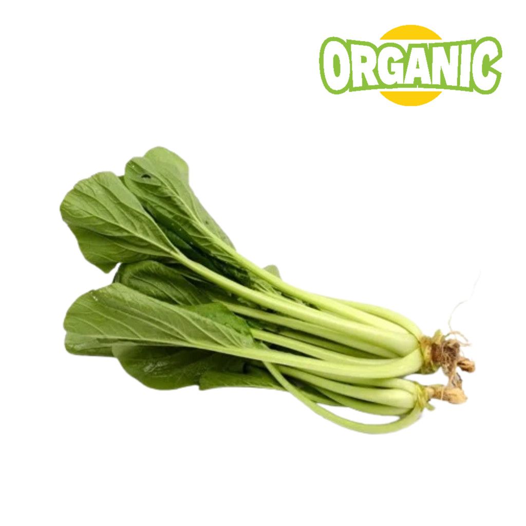 Cải ngọt hữu cơ