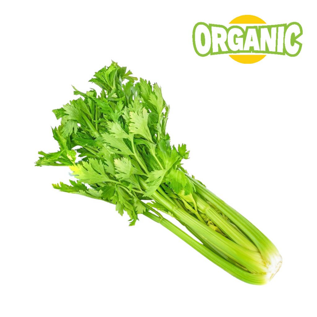 Cần tây hữu cơ