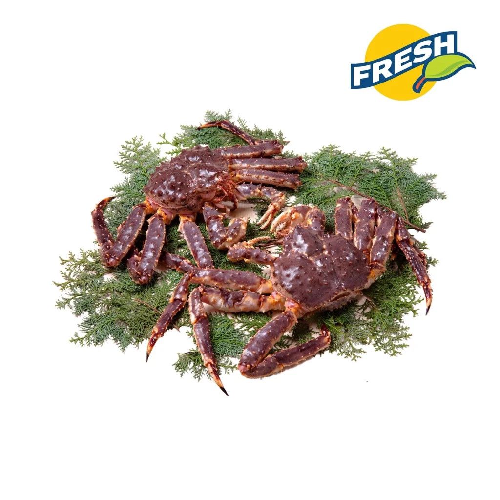Cua Hoàng Đế King Crab đỏ