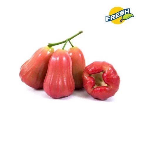 Mận (Roi) Đỏ An Phước