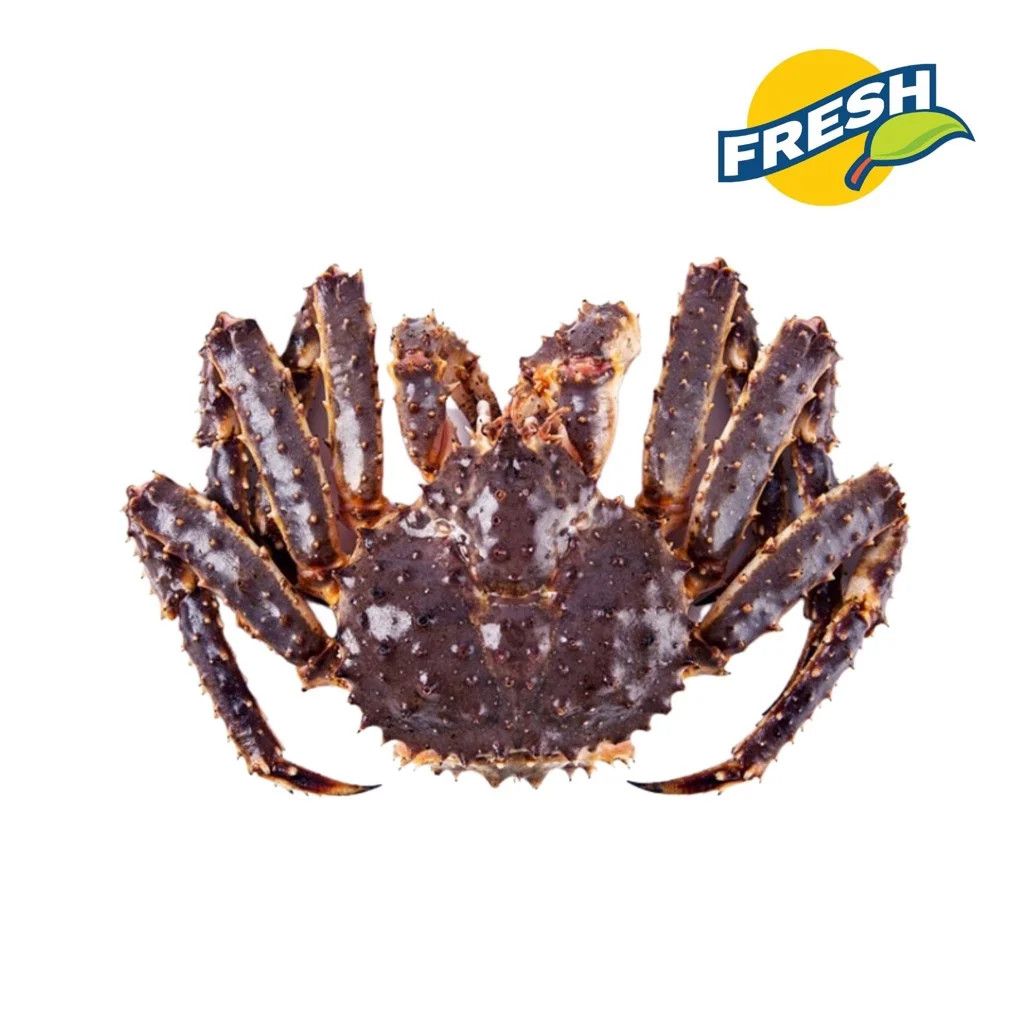 Cua Hoàng Đế King Crab đỏ - 5kg