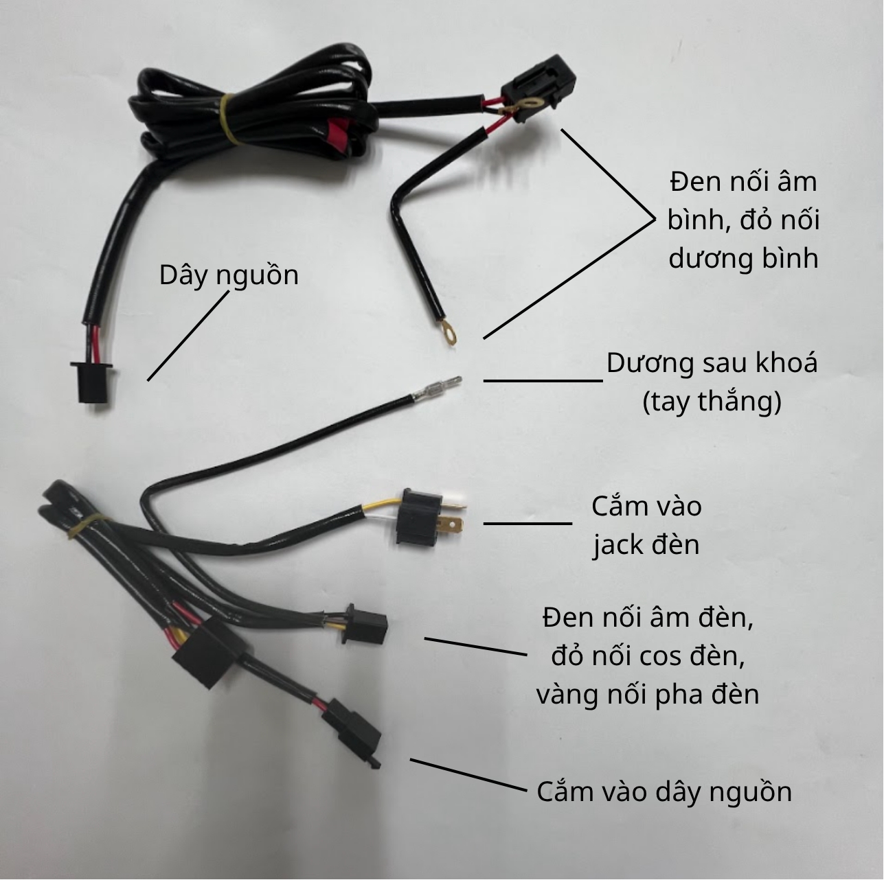 Mạch Nguồn Chân H4 Dùng Cho Bi Led Dây Điện Zac Cos Loại Tốt Đầy Đủ Cầu Chì Dùng Chung Các Xe