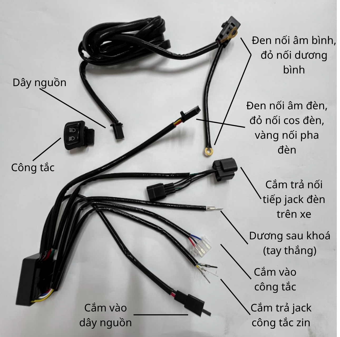 Mạch Passing Đèn Trợ Sáng, Bi Cầu Mini M10 Ultra, Z20, X100...L4 Kết Hợp Tắt Đèn Chính - AB 125/150 2020-2022