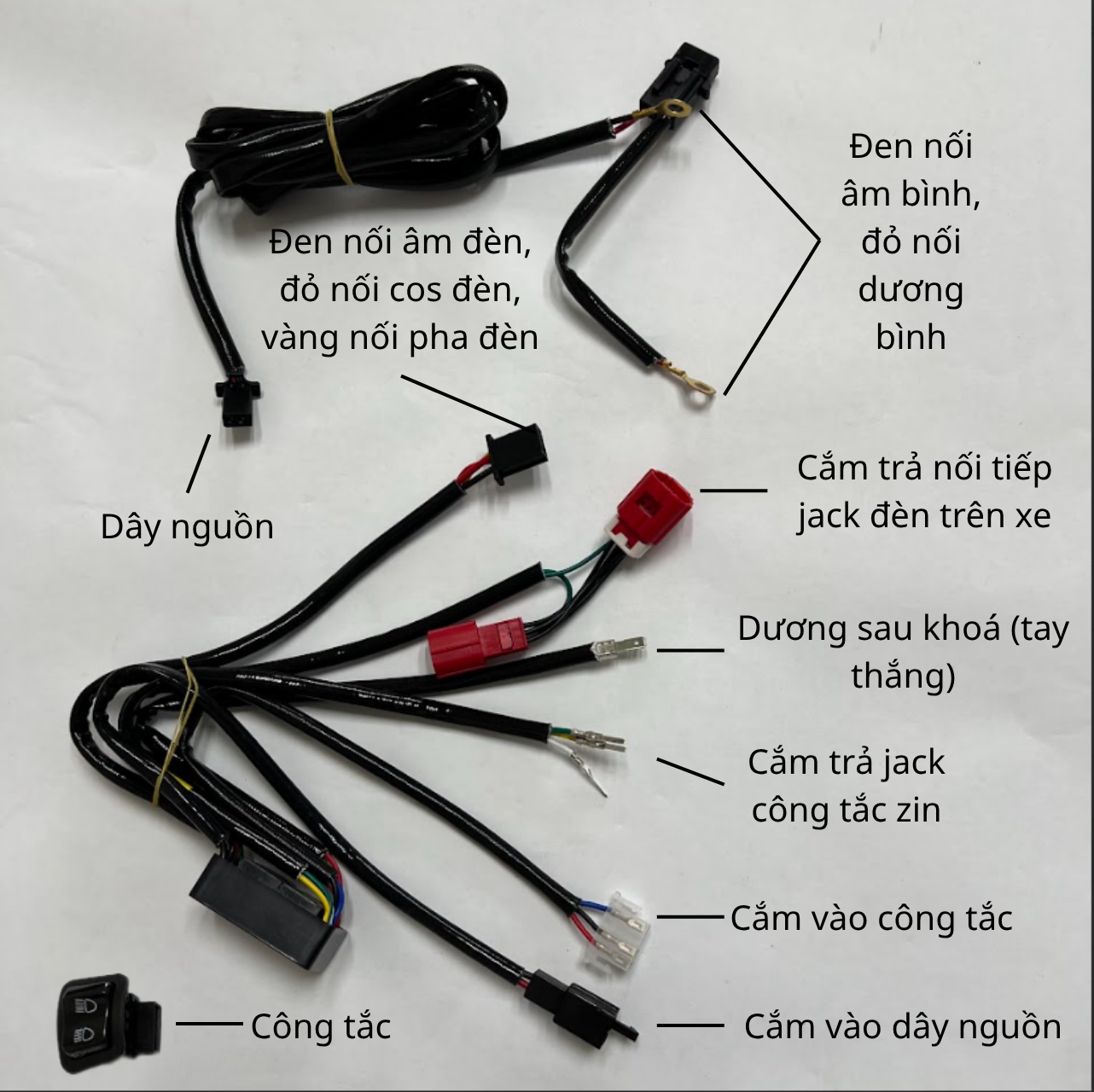 Mạch Passing Đèn Trợ Sáng, Bi Cầu Mini M10 Ultra, Z20, X100...L4 Kết Hợp Tắt Đèn Chính - AB 125/160 2023-2026