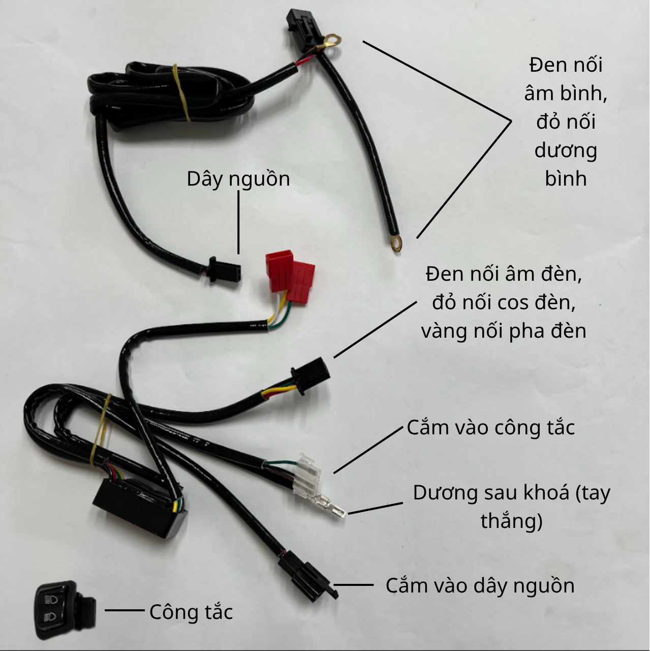 Mạch Passing Đèn Trợ Sáng, Bi Cầu Mini M10 Ultra, Z20, X100.. L4 Kết Hợp Tắt Đèn Chính - Winner X