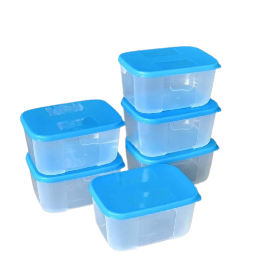 Bộ 6 hộp trữ đông Tupperware Basic Set 650ml (NKTQ)